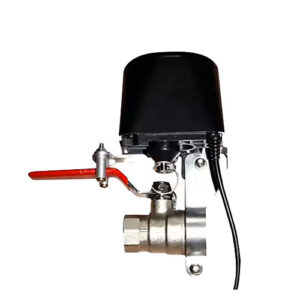 Z Wave Automatic Sprinkler Valve Controller and Voice Control - Amuse Tech Solutions