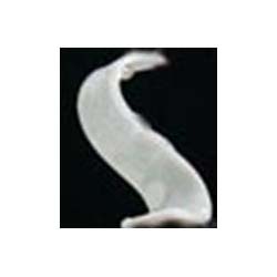 Flexible UHF RFID Laundry Tag, 2m Range, Heat Seal for Inventory Management - Amuse Tech Solutions